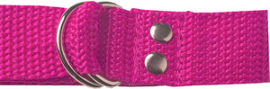 belt pink