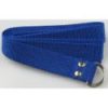 belt royal blue